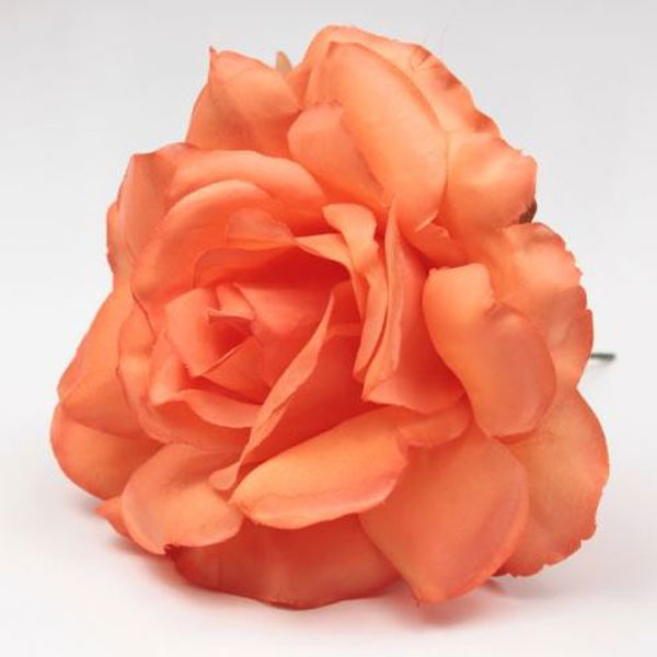 Petite rose de Cadix. 10cm. Saumon